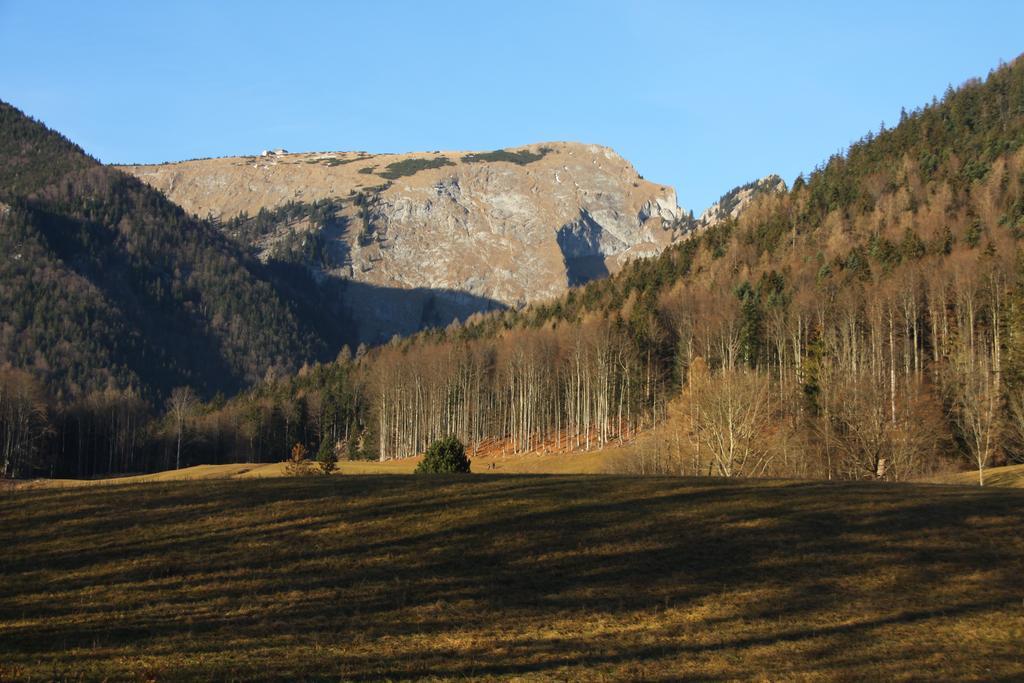 Haus Seeschwalbe Saint Wolfgang エクステリア 写真